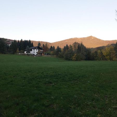 Ferienwohnung Traummichel Lam Zewnętrze zdjęcie